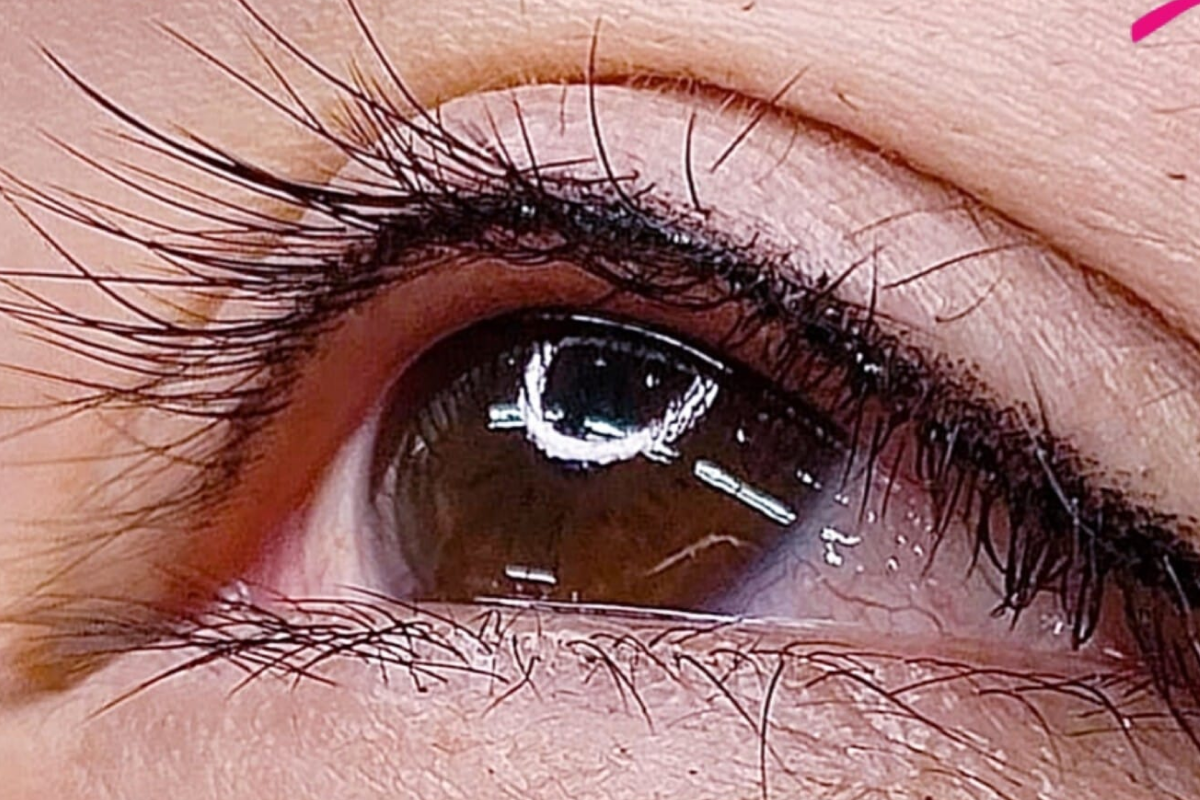 Eyeliner & Lash 1
