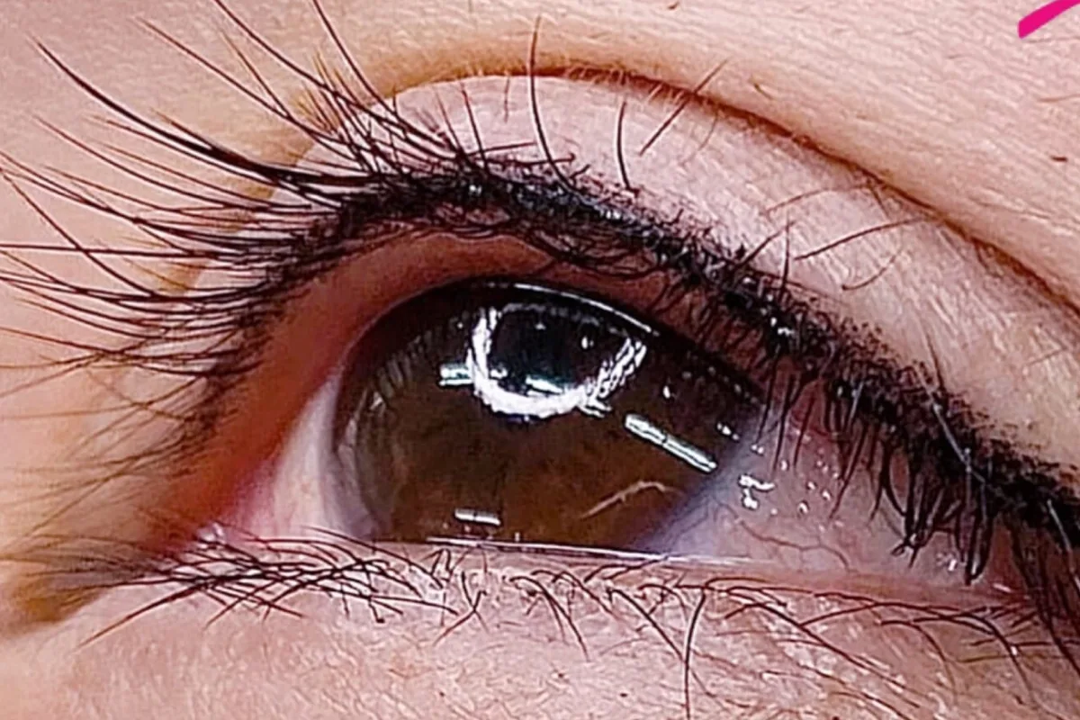 Eyeliner & Lash 1