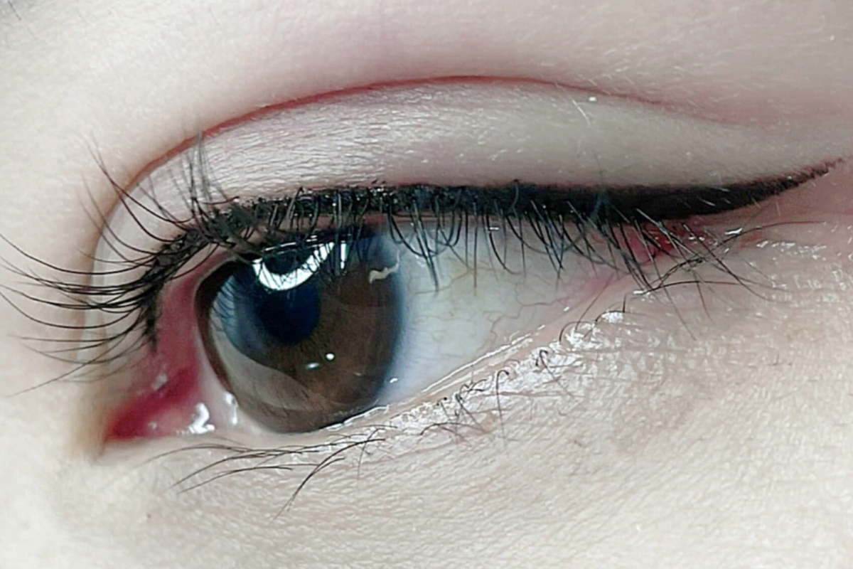 Eyeliner & Lash 10