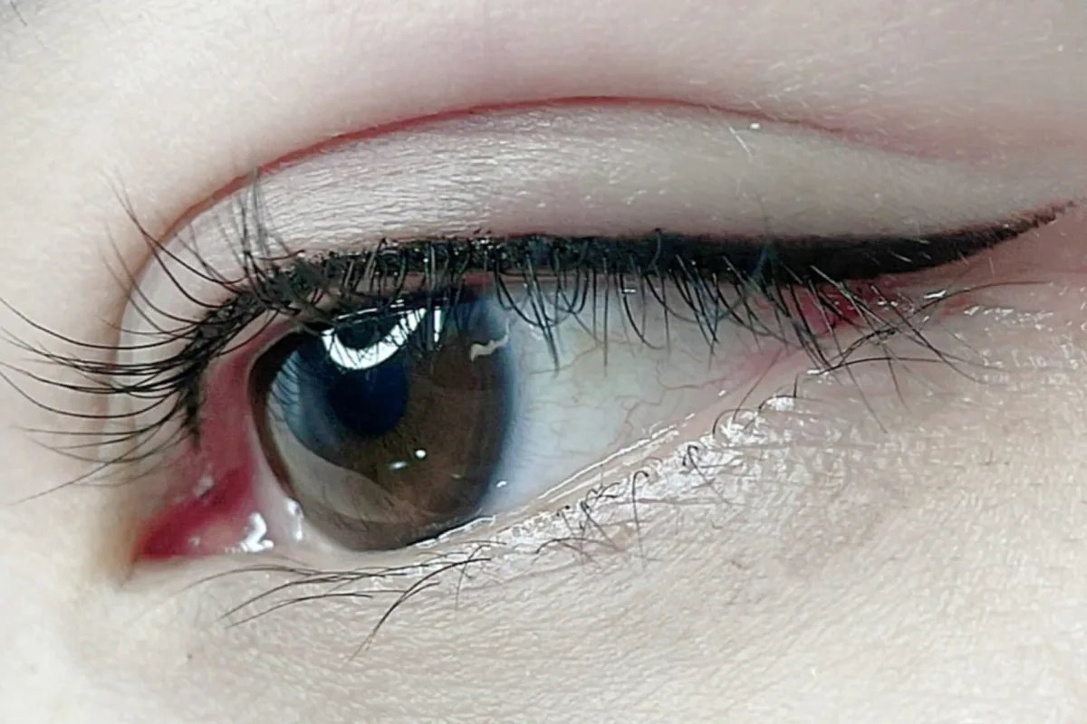 Eyeliner & Lash 10