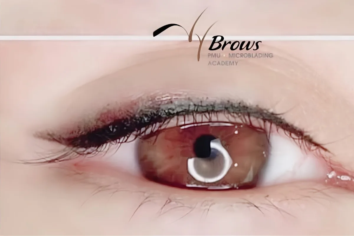 Eyeliner & Lash 11