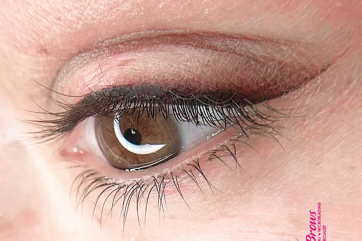 Eyeliner & Lash 13