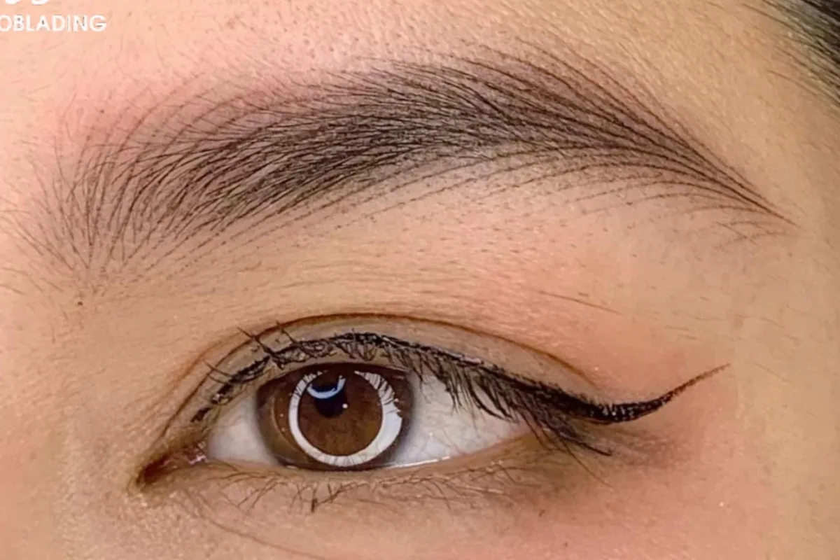 Eyeliner & Lash 14