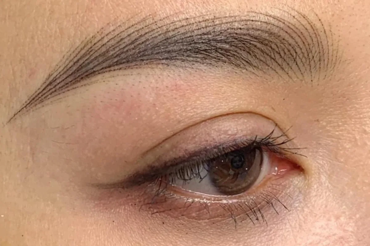 Eyeliner & Lash 15