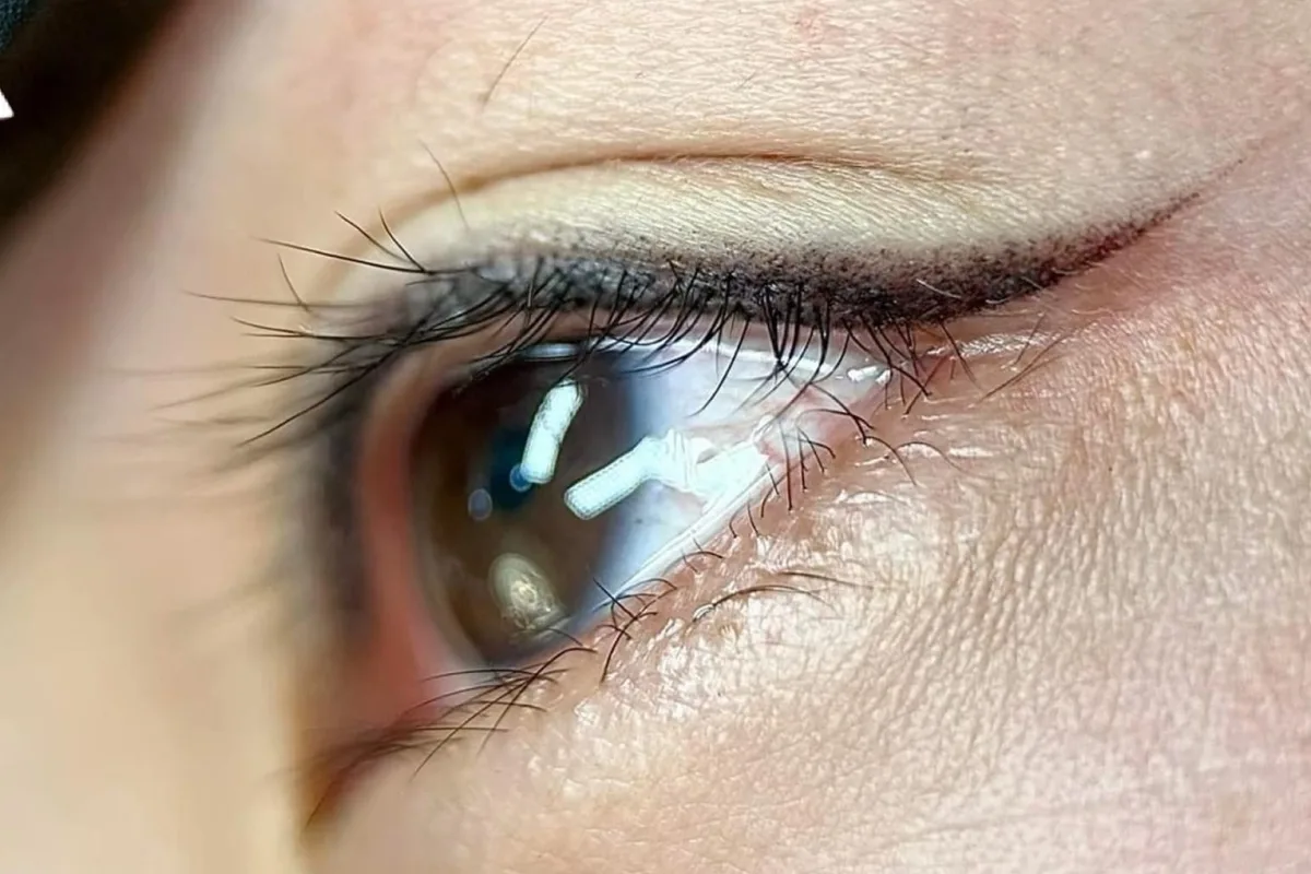 Eyeliner & Lash 16