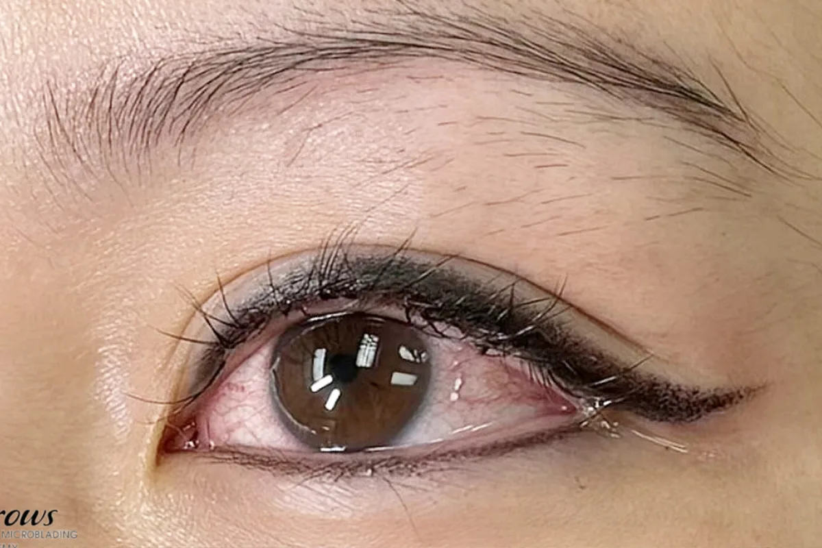 Eyeliner & Lash 3