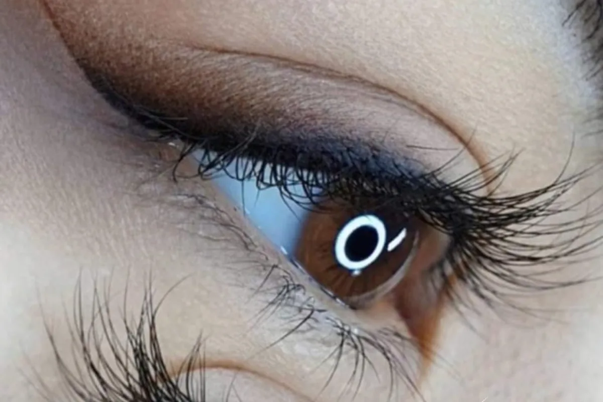 Eyeliner & Lash 4