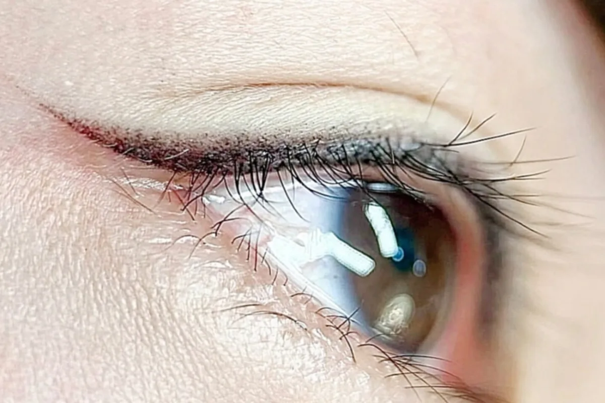 Eyeliner & Lash 6