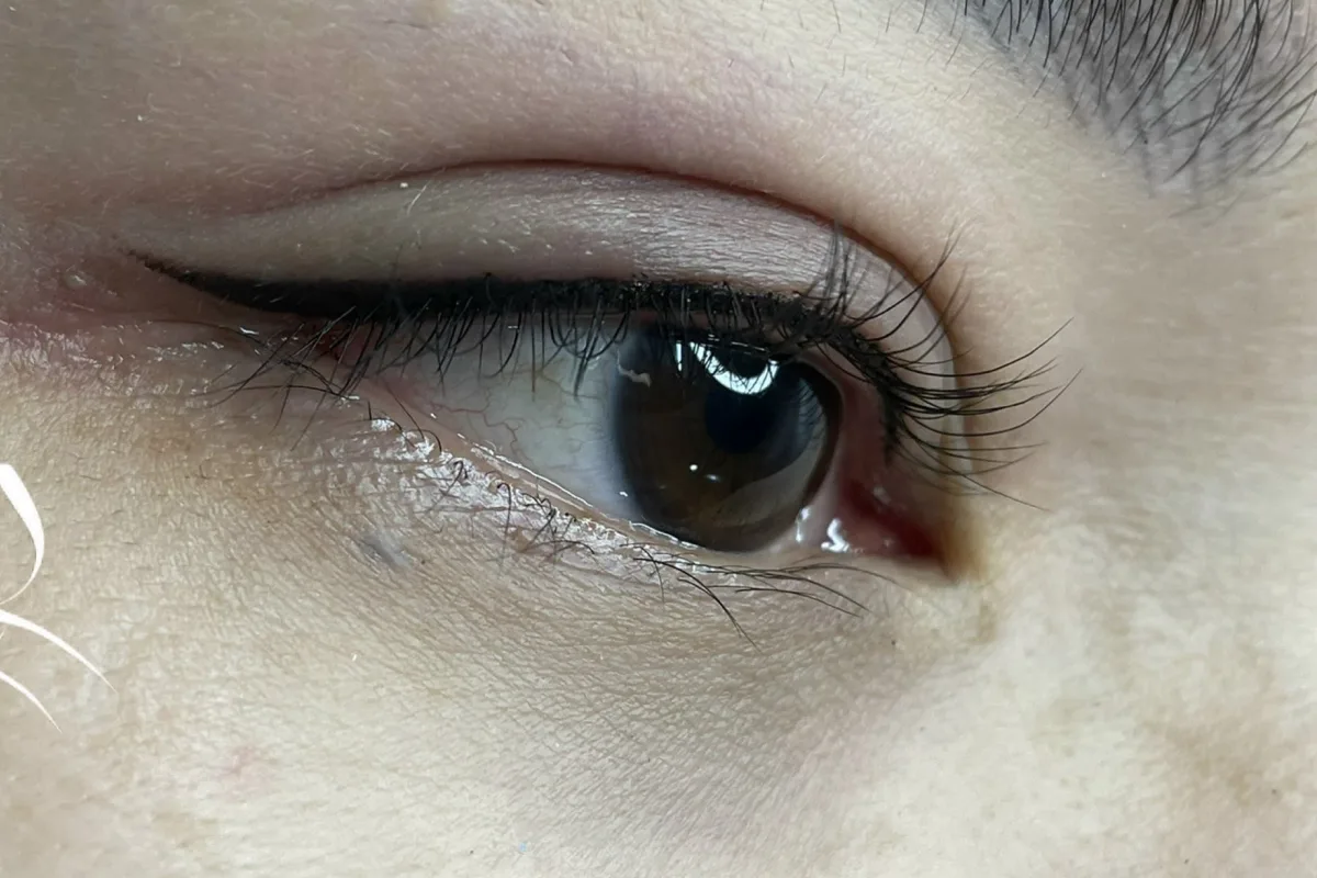 Eyeliner & Lash 7