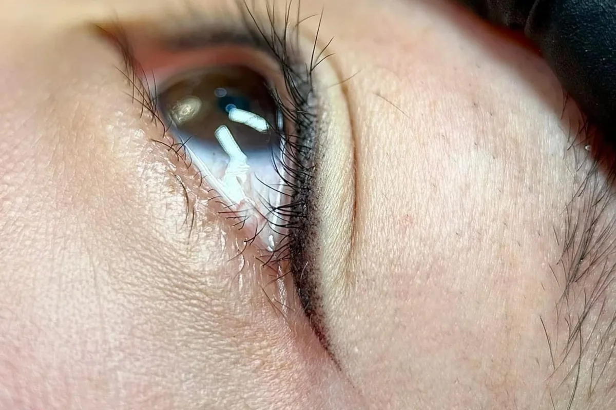 Eyeliner & Lash 9